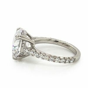 Round Brilliant-Cut With Hidden Halo Engagement Rings 2